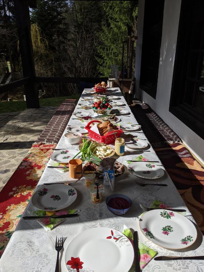 Cabana Serenade Suczawica Zewnętrze zdjęcie